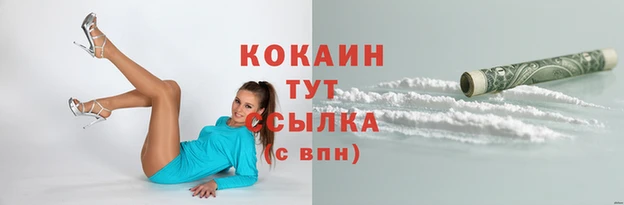 кокс Аркадак