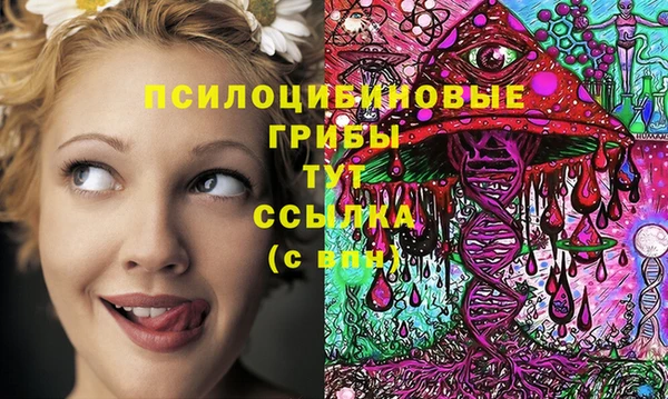 дмт Балахна