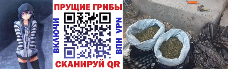 Псилоцибиновые грибы ЛСД  Северо-Курильск 